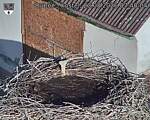 Capi_Dubne_20260823_074004.jpg