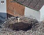 Capi_Dubne_20260823_074504.jpg