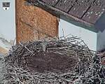 Capi_Dubne_20260823_112502.jpg