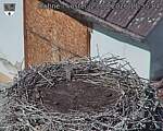 Capi_Dubne_20260823_115504.jpg