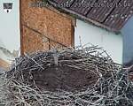 Capi_Dubne_20260823_121504.jpg