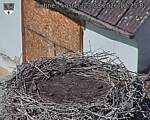 Capi_Dubne_20260823_122503.jpg