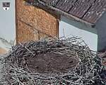 Capi_Dubne_20260823_124003.jpg