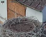 Capi_Dubne_20260823_124502.jpg
