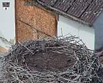 Capi_Dubne_20260823_125504.jpg