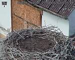 Capi_Dubne_20260823_130504.jpg