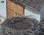Capi_Dubne_20260823_134004.jpg