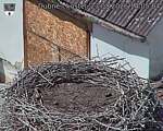 Capi_Dubne_20260823_140504.jpg