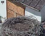 Capi_Dubne_20260823_142004.jpg