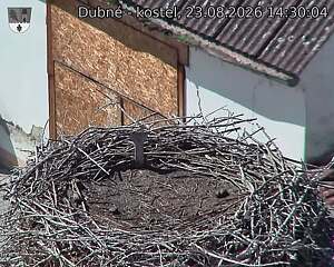 preload