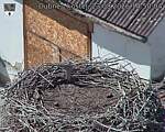 Capi_Dubne_20260823_145004.jpg