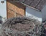 Capi_Dubne_20260823_145504.jpg