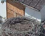 Capi_Dubne_20260823_151004.jpg
