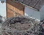 Capi_Dubne_20260823_152004.jpg