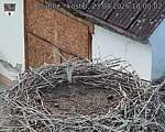 Capi_Dubne_20260823_180002.jpg