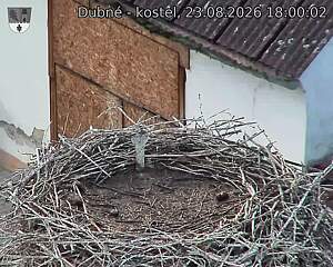 preload