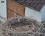 Capi_Dubne_20260823_180504.jpg
