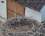 Capi_Dubne_20260823_181004.jpg