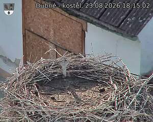 Capi_Dubne_20260823_181502.jpg (1350&nbsp;x&nbsp;1080)
