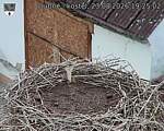 Capi_Dubne_20260823_192502.jpg