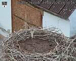 Capi_Dubne_20260823_193004.jpg