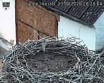 Capi_Dubne_20260823_202004.jpg