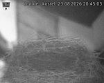 Capi_Dubne_20260823_204503.jpg