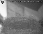 Capi_Dubne_20260823_205003.jpg