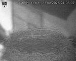 Capi_Dubne_20260823_210502.jpg