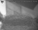 Capi_Dubne_20260823_213502.jpg