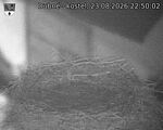 Capi_Dubne_20260823_225002.jpg