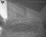 Capi_Dubne_20260824_002502.jpg