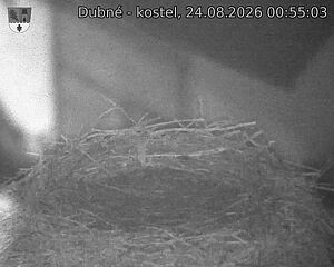 Capi_Dubne_20260824_005503.jpg (1350&nbsp;x&nbsp;1080)