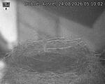 Capi_Dubne_20260824_051002.jpg