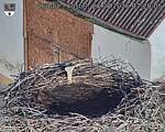 Capi_Dubne_20260824_072005.jpg