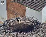 Capi_Dubne_20260824_072503.jpg