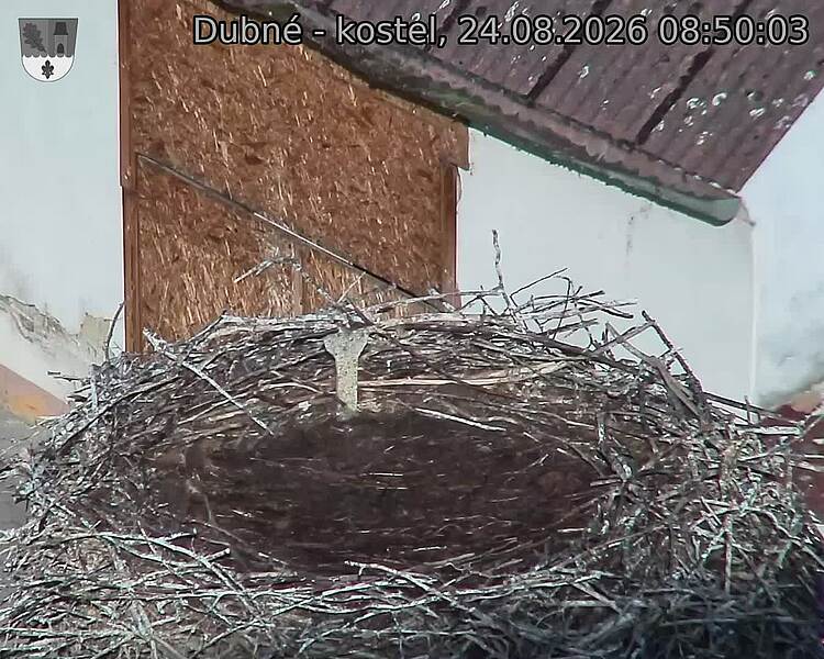 preload