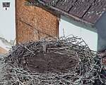 Capi_Dubne_20260824_114503.jpg