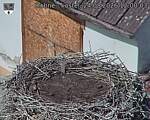 Capi_Dubne_20260824_120003.jpg