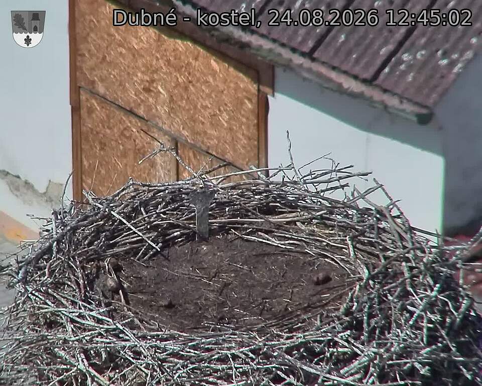 Capi_Dubne_20260824_124502.jpg (1350&nbsp;x&nbsp;1080)