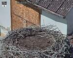 Capi_Dubne_20260824_133003.jpg
