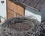 Capi_Dubne_20260824_135503.jpg