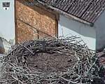 Capi_Dubne_20260824_142503.jpg