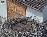 Capi_Dubne_20260824_143003.jpg