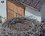 Capi_Dubne_20260824_143503.jpg