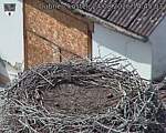 Capi_Dubne_20260824_144503.jpg