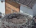 Capi_Dubne_20260824_152003.jpg