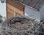 Capi_Dubne_20260824_152503.jpg