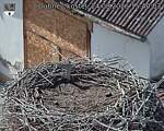 Capi_Dubne_20260824_154003.jpg