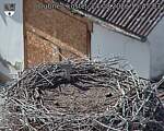 Capi_Dubne_20260824_154503.jpg